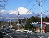 日本碩士金牌項目